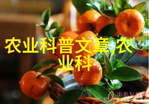 园艺小技让花盆变成生菜田