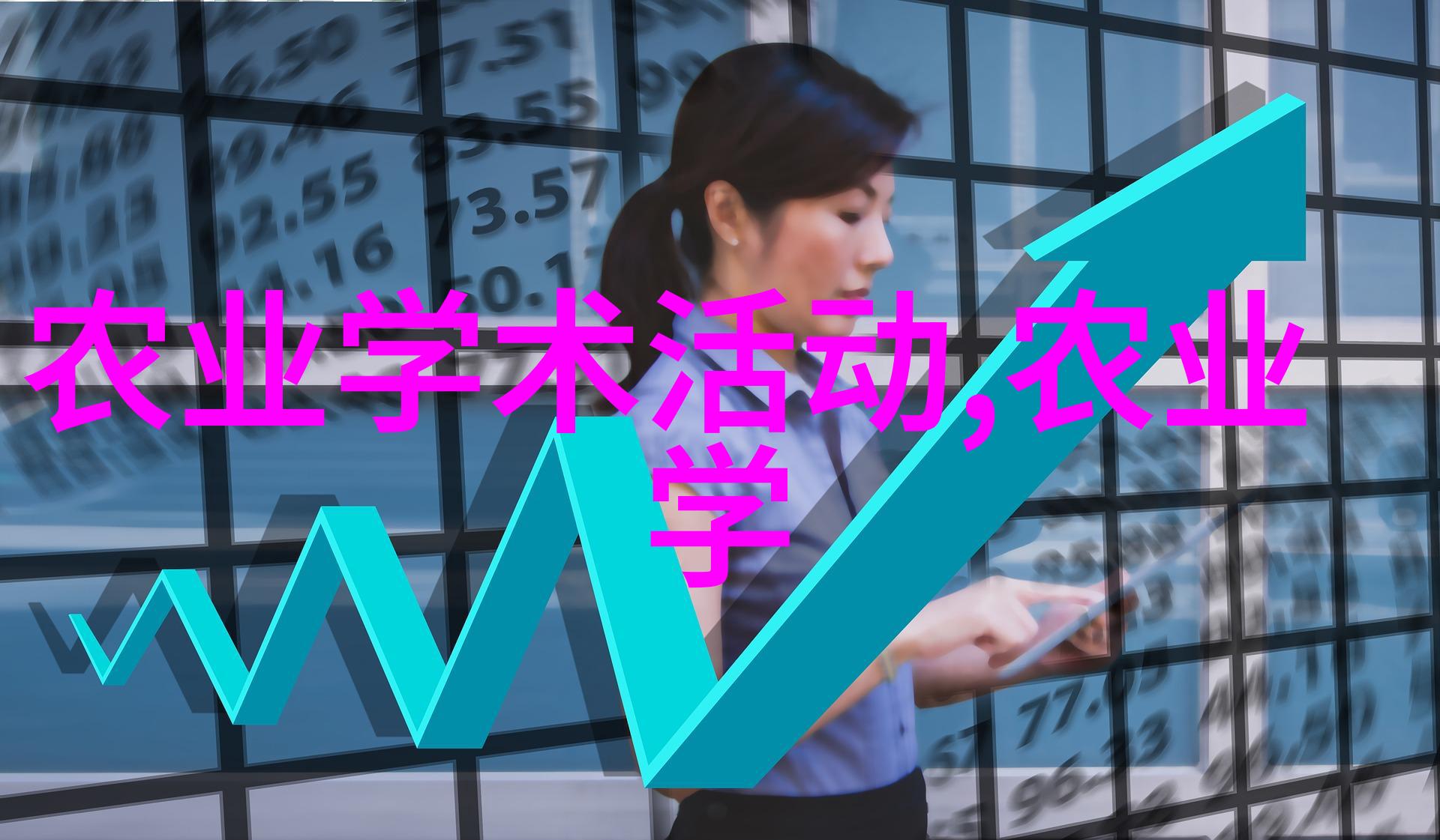 10公分玉兰树的价格如何选择