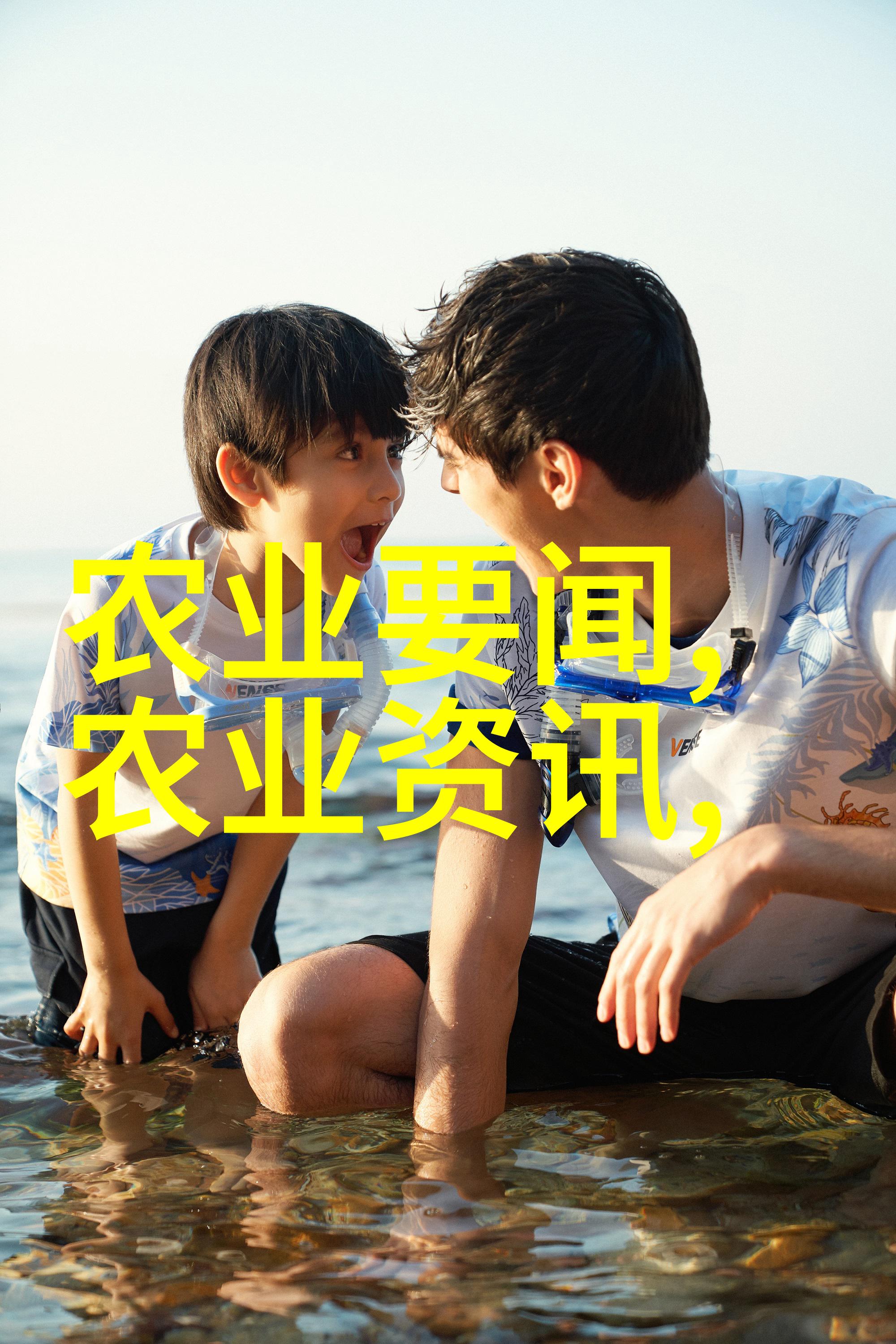 各类花卉养殖技术我来教你如何让你的花园绽放