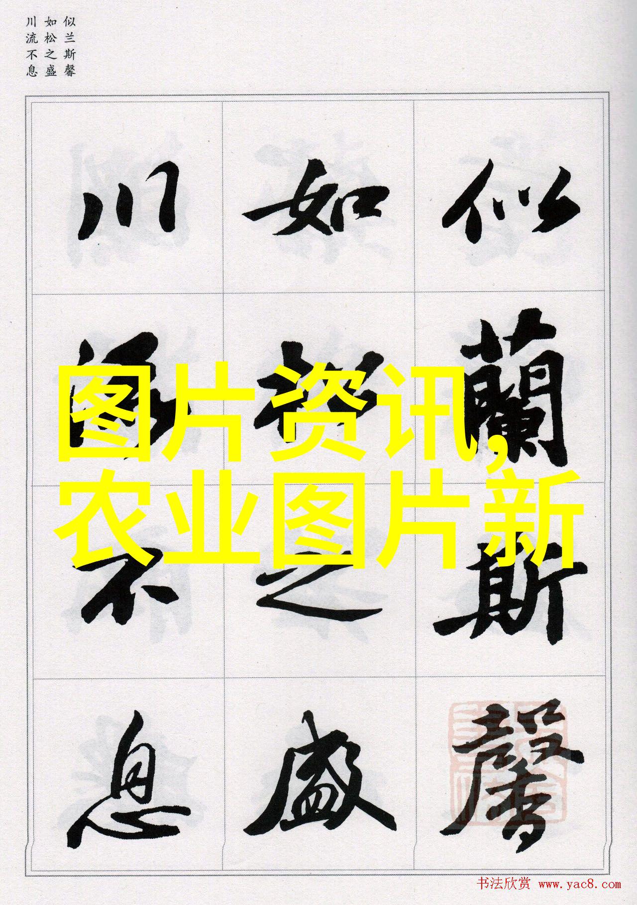花开时节一排三盆的秘密