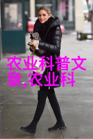 如何让盆栽花卉成为室内的视觉盛宴