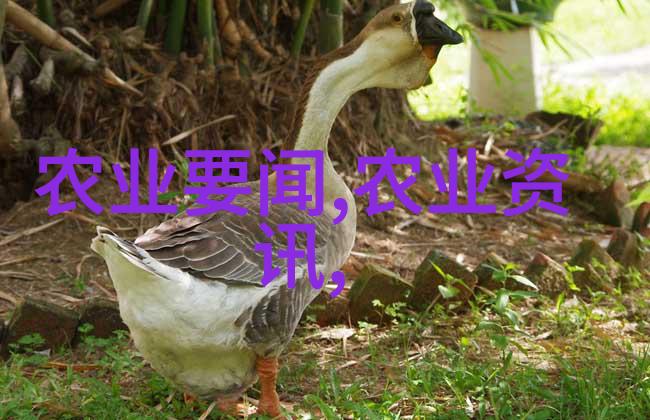 春日绽放花卉种植的艺术之美