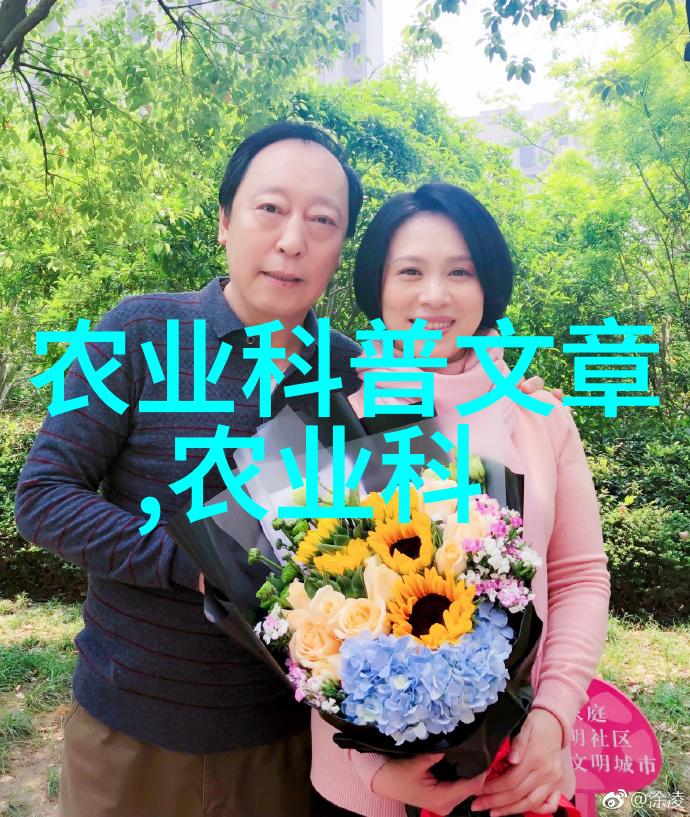 冬日绽放雪花中的蔬菜奇遇