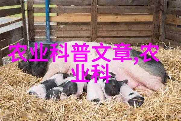 观赏鱼养殖技术全解析从基因选择到环境调控的完美实践