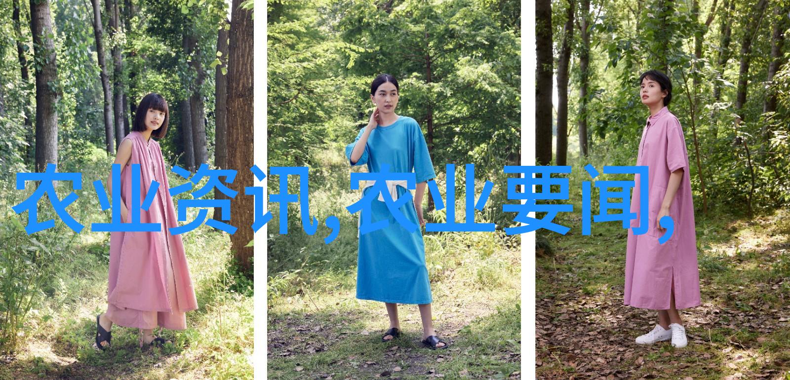 选择合适场地泥鳅养殖基地的建设要点