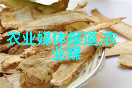 传统的中国式下沉式铁壶泡制方法对现代电泡器有什么优劣