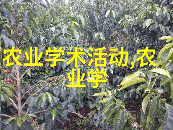 药材奇迹种什么能逆袭这两年最有前景的秘密大揭露