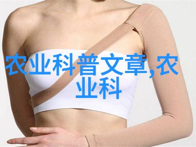 什么因素会影响橙子的甜度和口感