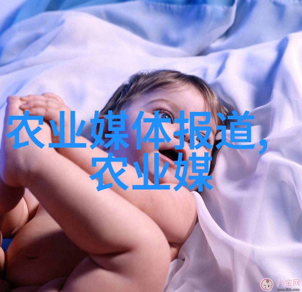 黄瓜种植技巧全解密从选土到收获的每一步都要掌握