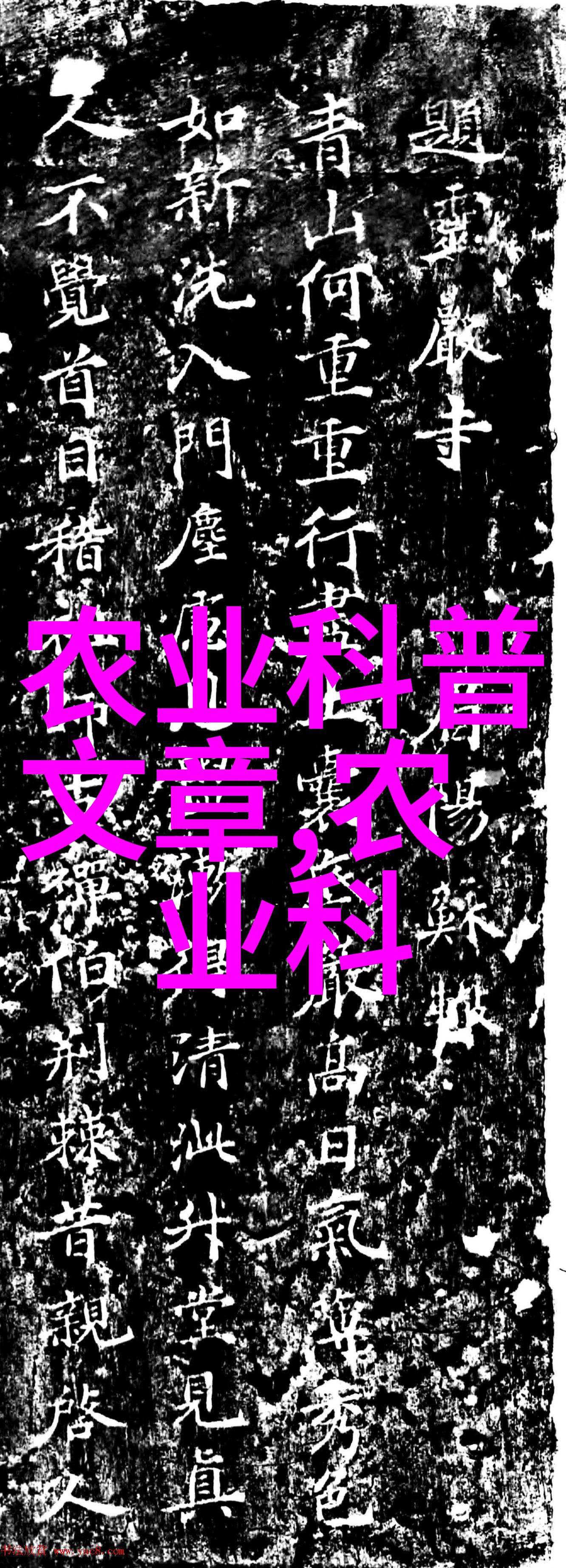 旺盛收益的现代农耕揭秘现在地里最赚钱的作物种植策略
