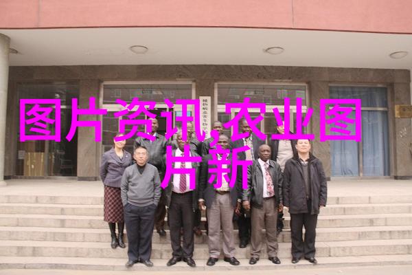 过冬羊精细化饲养技术