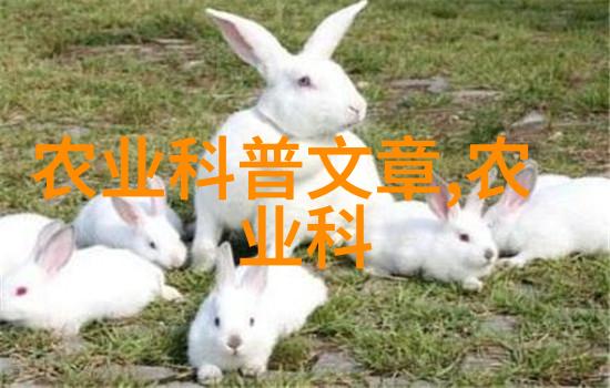 火红丰收一亩红麻的金钱秘密