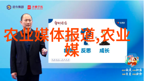 岁月静好10年枫树的故事与价值