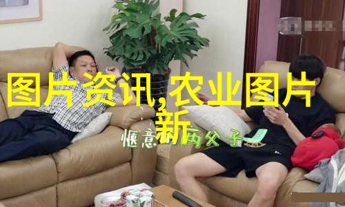 养殖咨询从基础到高级的知识全集