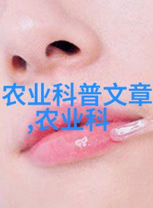 怎样才能确保在短时间内收获到一季美味的小番茄