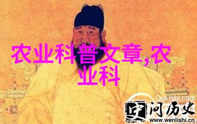 追逐那份属于自己的安逸生活从这里开始探索种植二十头绵羊后的一年所获回报与挑战