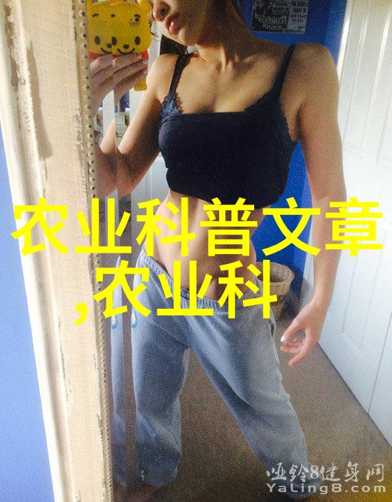 品味茶韵常见茶叶名称探秘