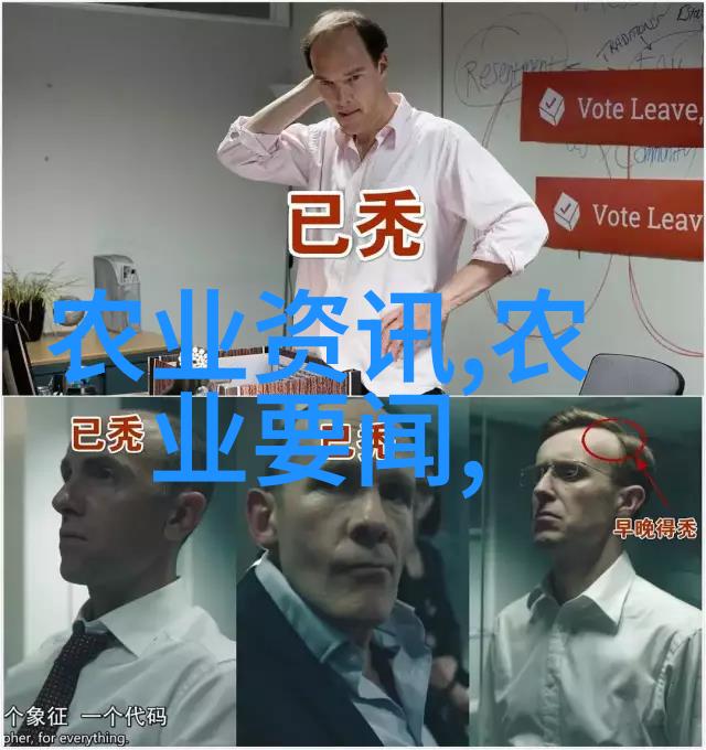 如何选择合适的玉米植株为玉米秸烂进行机械化处理