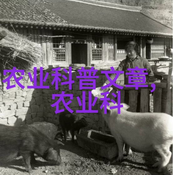 机械革命探索免耕播种机的未来农业解决方案