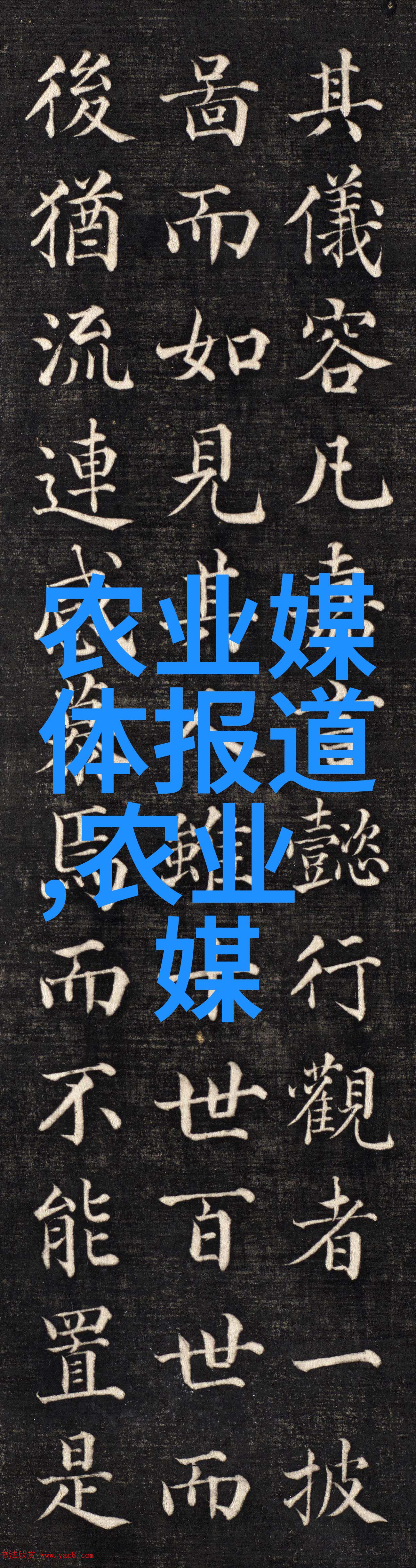 种植药材哪种赚钱-精准投入揭秘高收益的药材种植选项