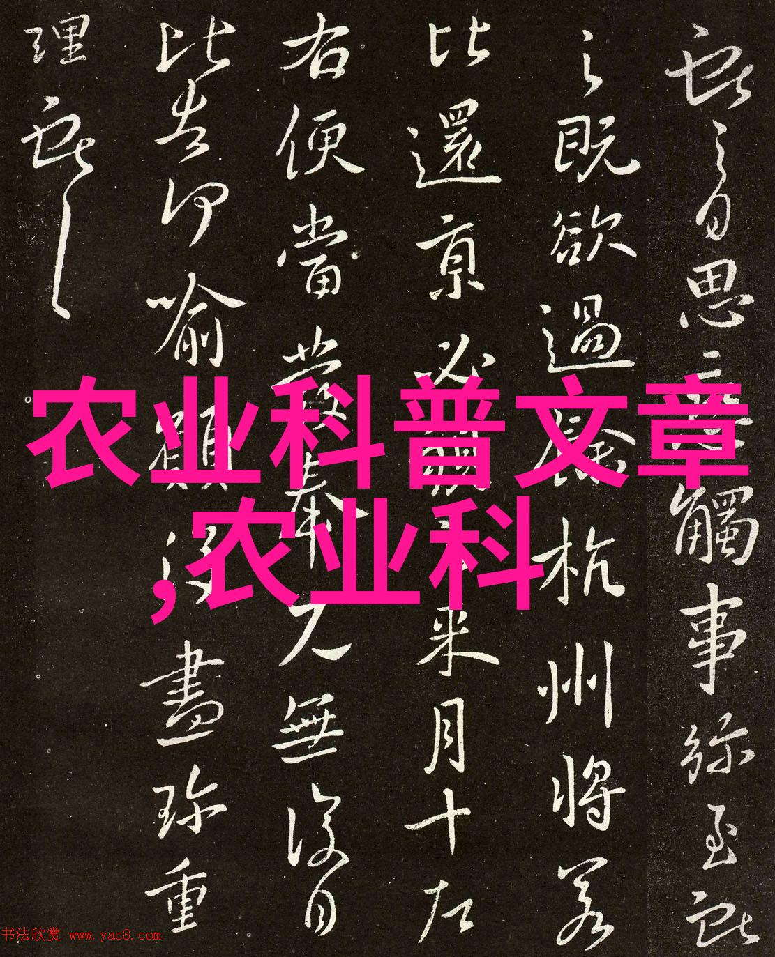 创新水培技术让现代蔬果品质和产量并重