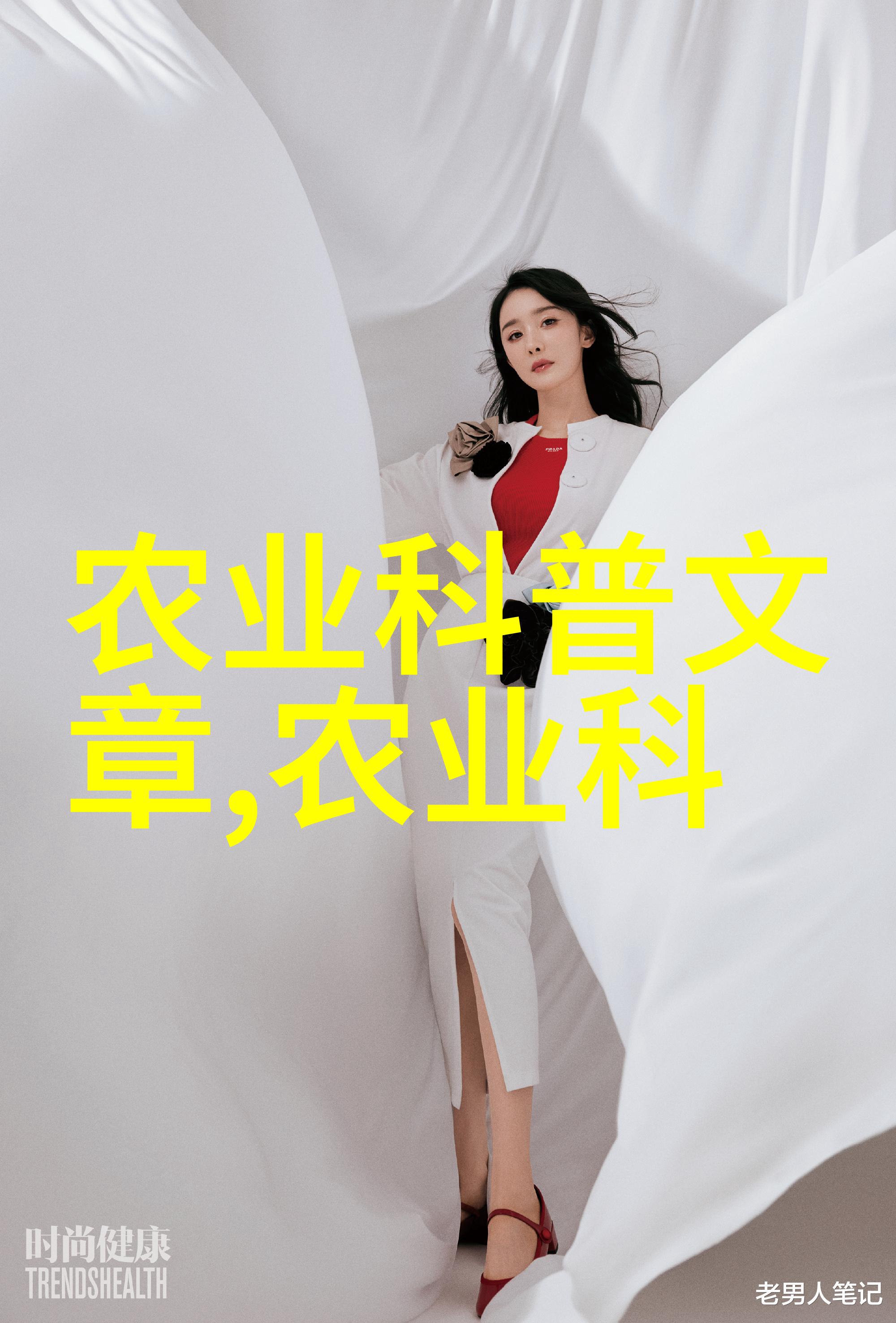虾养殖技术我来教你如何让虾儿长得肥大又健康