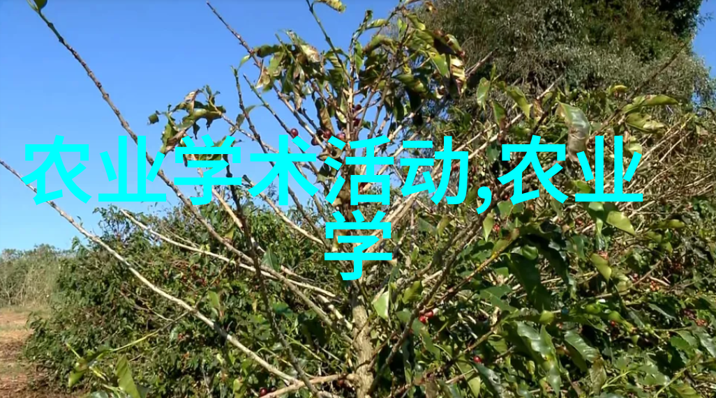 广东中药材种植基地-南国绿茵广东中药材种植基地的发展与挑战