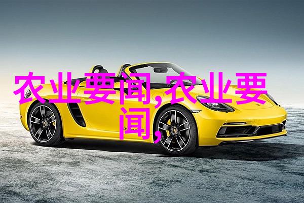 雨中 雨水增多蔬菜管理抓要点