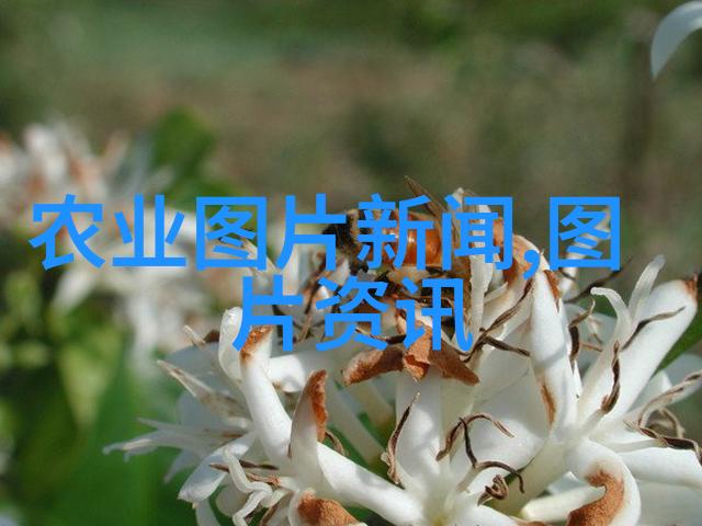 农业学术交流_中国学术期刊网首页论文发表中国学术期刊网首页_百度学术与谷歌学术