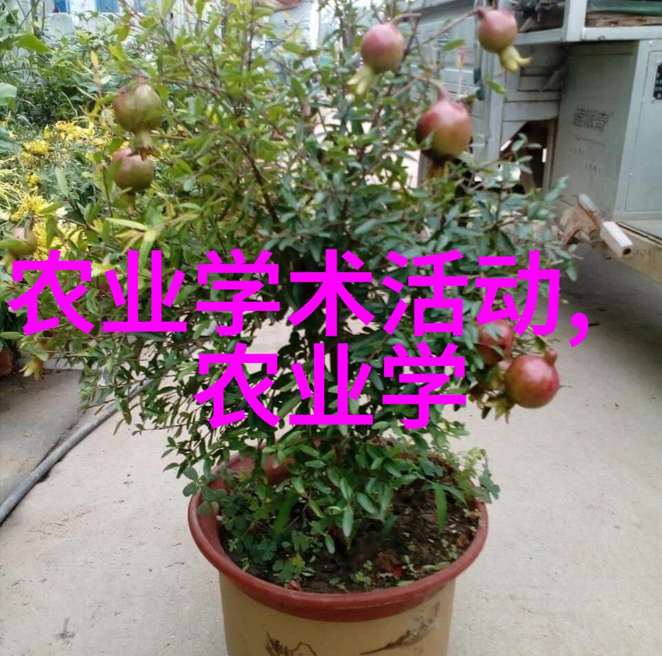 蜜花甜梦春季养蜂技巧分享