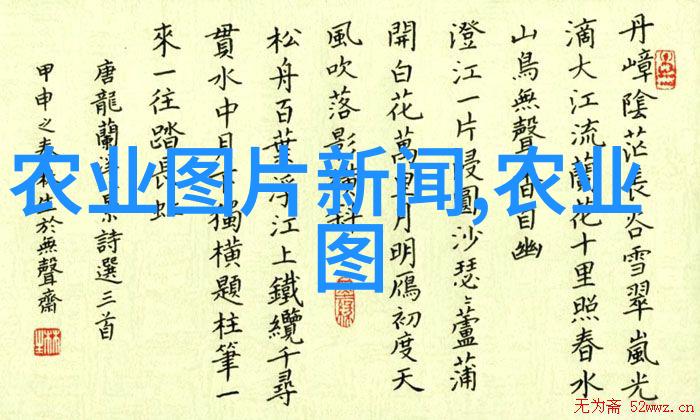 广西可以种植什么名贵中草药-桂林山水中的珍草宝库