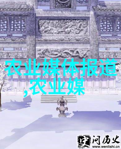 水旱两用耕田机适应多变农田环境的智慧之选