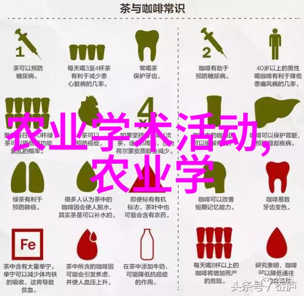 甘蓝菜的诱惑色泽翠绿的健康之选