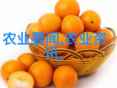 园艺奇观水果籽的美丽盛宴