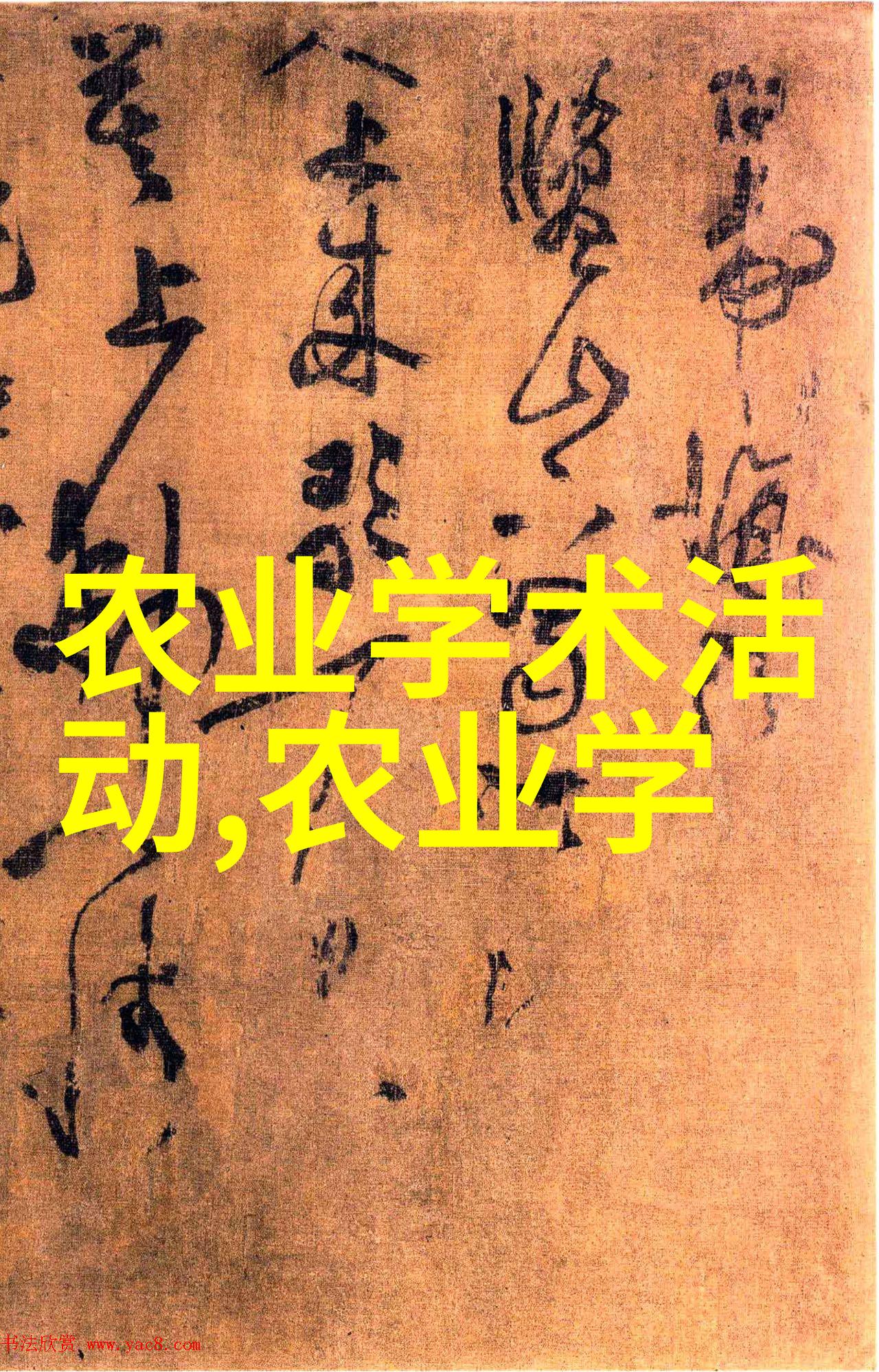 水果世界色彩斑斓的味蕾之旅