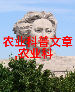 药材园绿色的治愈之源