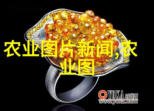从哪里入手探索个人成长的第一步