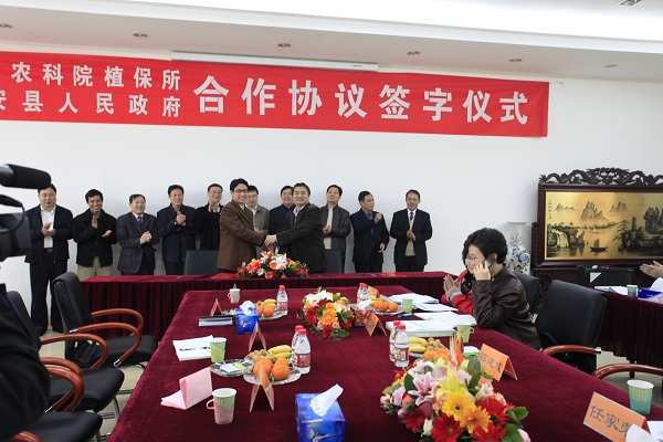 挖沟机操作技巧高效挖掘设备使用方法