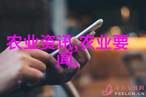 翘叶未来连翘种植的蓝图与梦想
