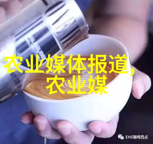皮带输送机效率提升的智慧选择