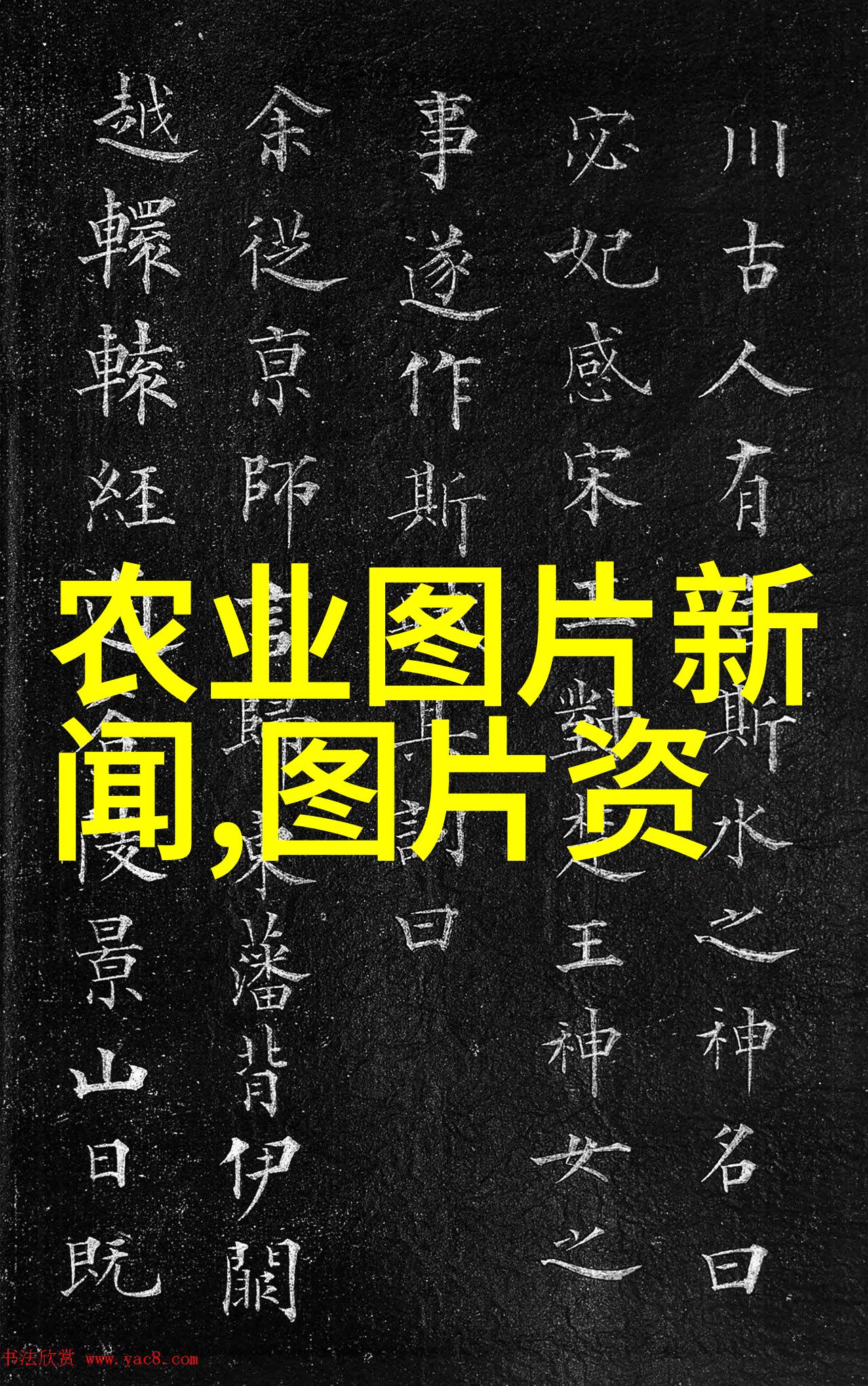 在实施农资进销存台账管理系统时需要考虑哪些关键因素