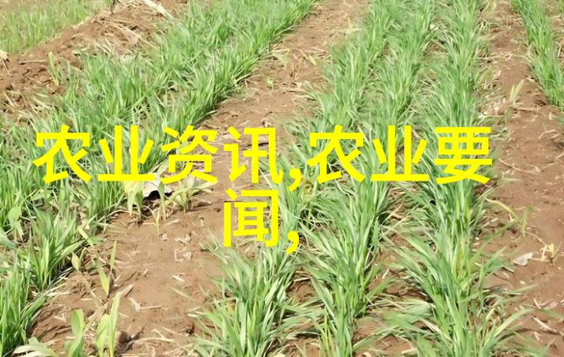 最新消息摘抄时事新闻摘要