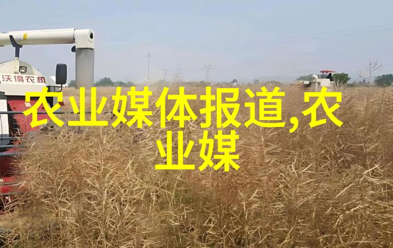 绿意盎然的家园室内蔬菜种植探秘