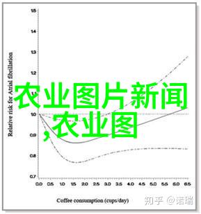 中央定调构建新发展格局稳固经济增长的坚实基础