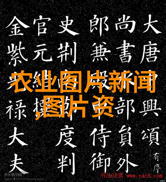 四季花开果实累探秘一年四季都繁茂的奇特果树