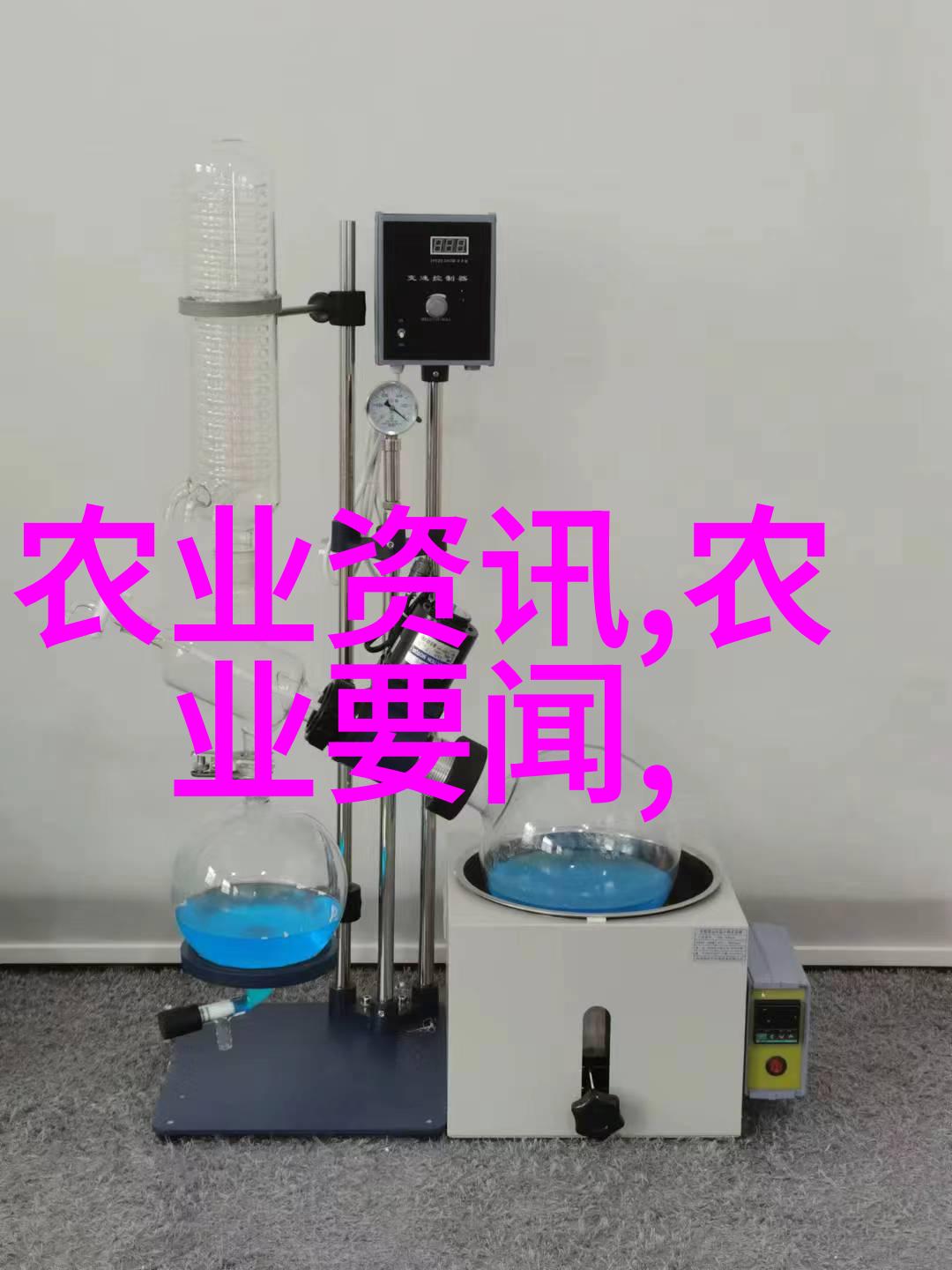 花海之谜揭秘园艺种植的神秘艺术