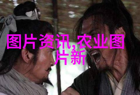 专业养羊的视频我是怎么把羊群变富贵的