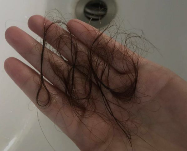 养羊赚钱秘籍如何在农村挣到二十万