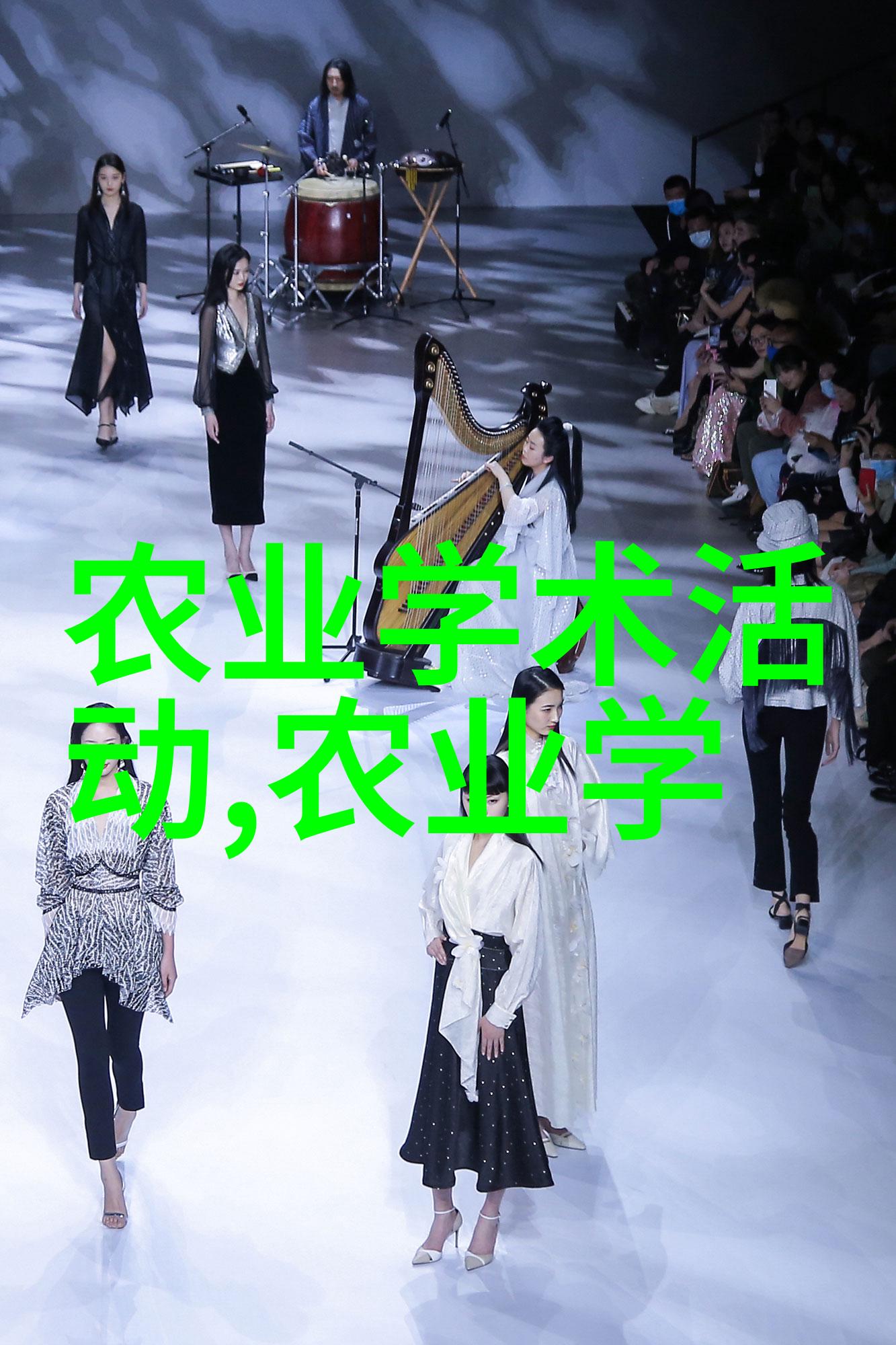 金线莲种子的珍贵与昂贵绿意盎然的财富之花