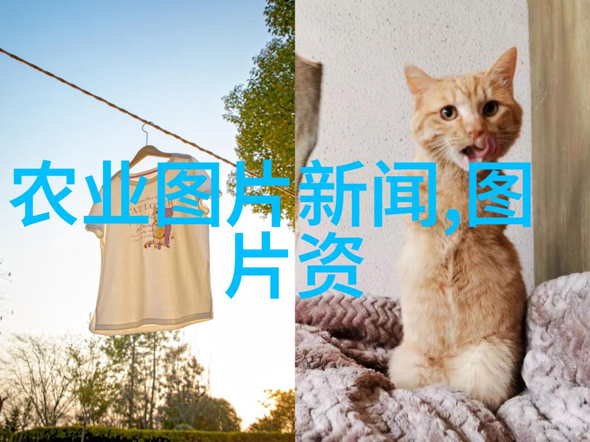 春天的绿意与瓜果的甜蜜揭秘适合播种的瓜果种子